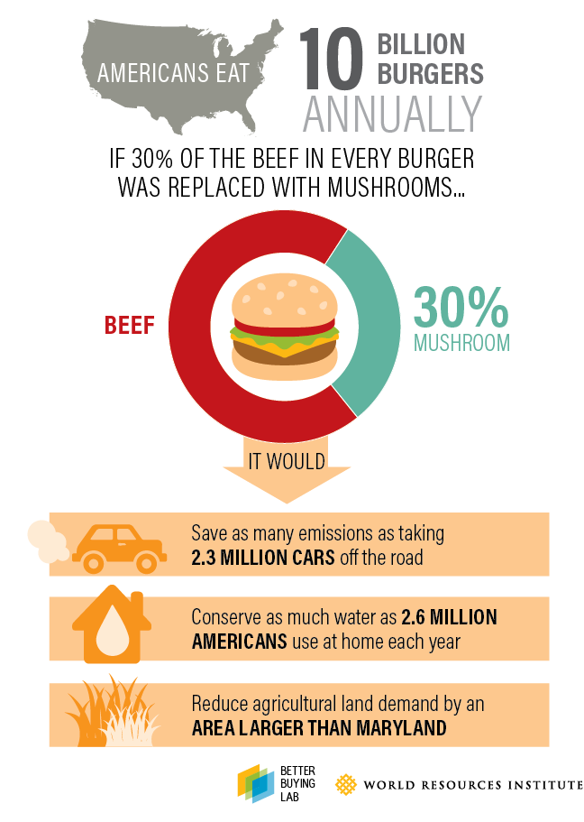 protein, rethinkx, thinkmyco, Nikita, BYND.Q, Beyond Meat, sustainability, climate change