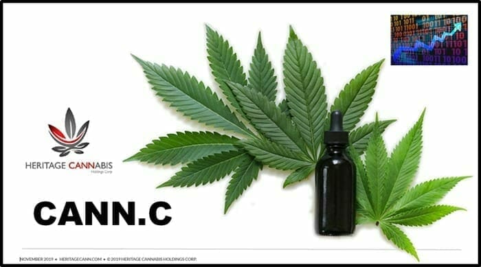 Heritage Cannabis (CANN.C) releases Q2, 2020 financials