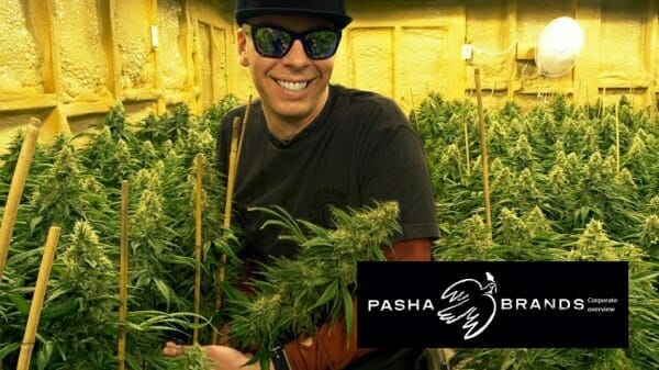 Pasha Brands (CRFT.C) buys Medcann, a Health Canada approved processor & cultivator.