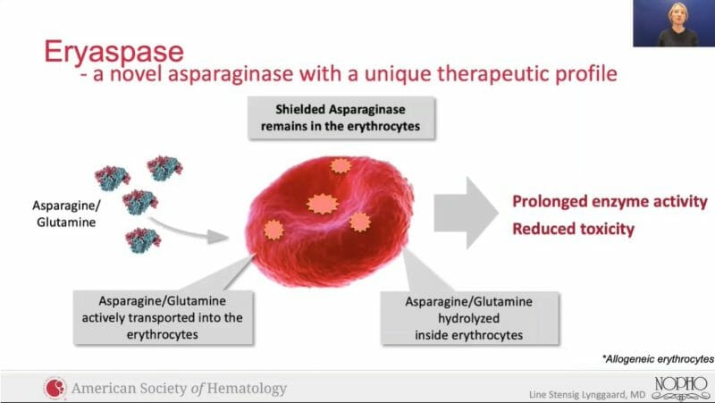 Eryaspase graphic