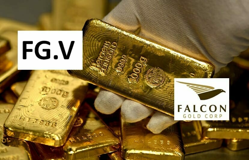 Falcon Gold (FG.V) buys a Newfoundland gold project as CEO Karim Rayani backs his own company in the most meaningful way possible