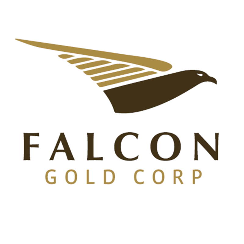 Falcon Gold (FG.V) and Marvel Discovery (MARV.V) capitalize on commodities rush: Today’s Idea