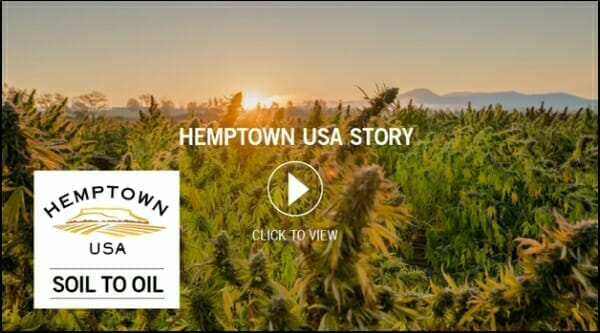 Hemptown USA raises $23 million and lays out plan for CBG global markets