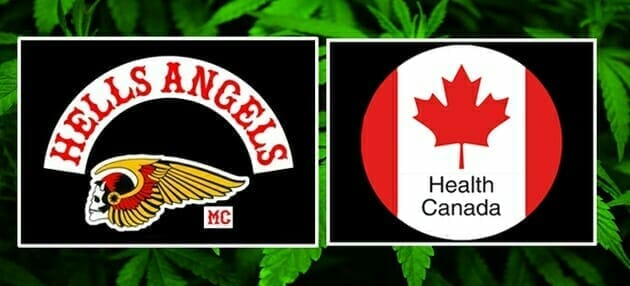 Podcast: Black-market weed consumer: “I’d buy from the Hells Angels before I buy from the government”