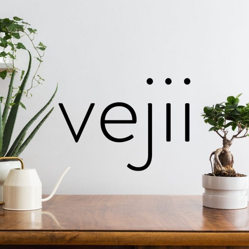 Today’s Idea: Vejii Holdings Ltd. (VEJI.C) Unpacks the CPG Market