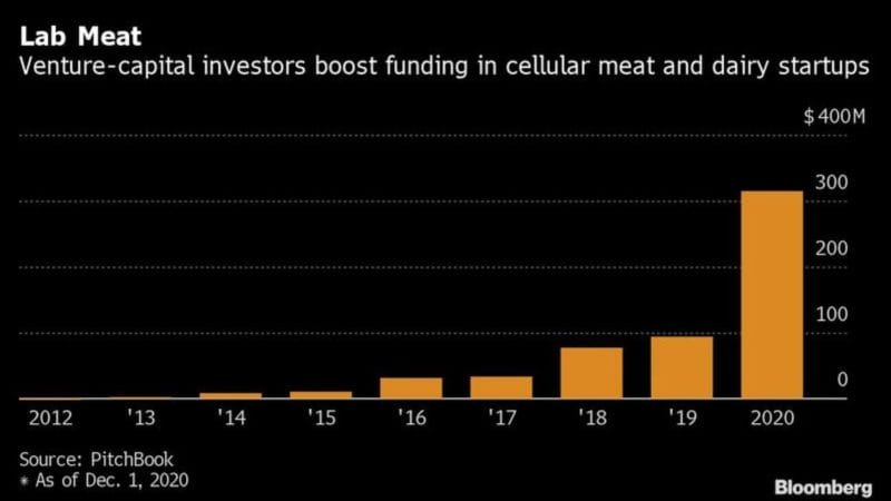 Cult Lab Meat Chart