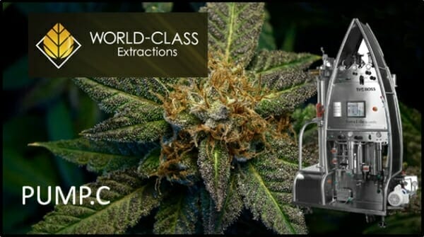 World Class (PUMP.C)/Canntab JV receives cannabis extraction licences