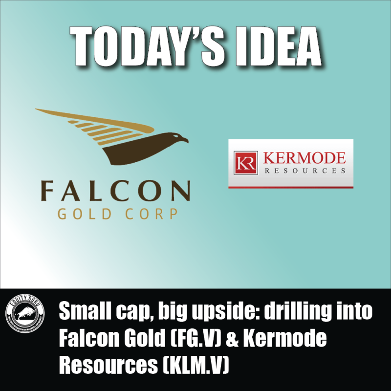 Small cap, big upside: drilling into Falcon Gold (FG.V) & Kermode Resources (KLM.V)