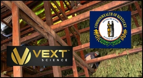 Vext Science (VEXT.C) ramps up Hemp/CBD operation in Kentucky