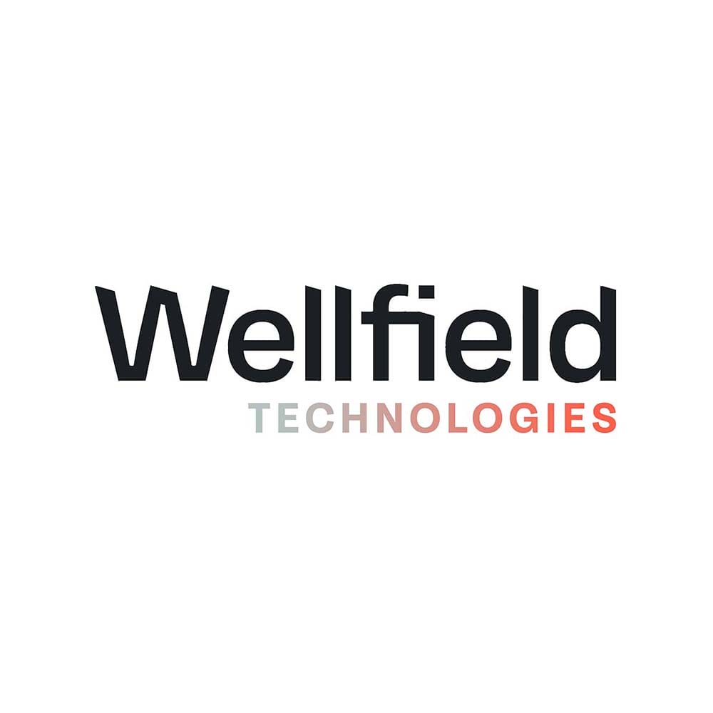 Will Wellfield Technologies (WFLD.V) and DeFi levy the challenge to traditional finance?