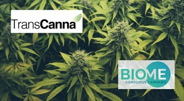 Good Deals, Good People:  Biome (BIO.C) and TransCanna (TCAN.C) update