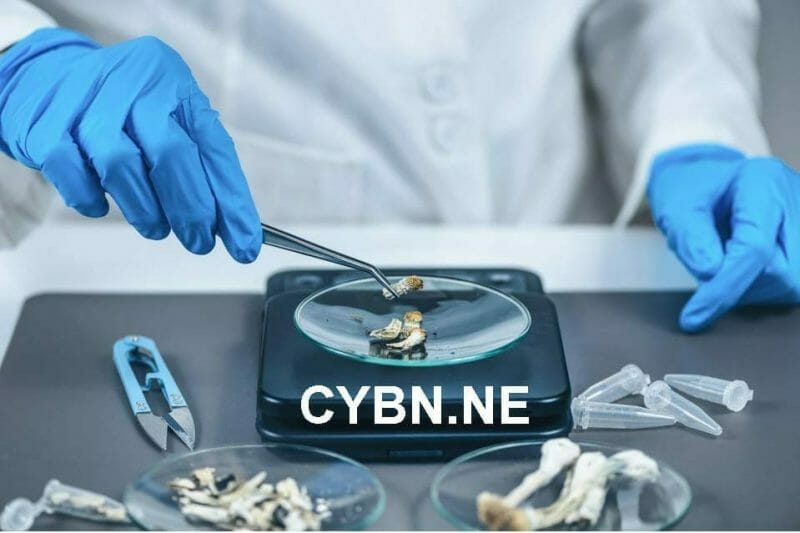 Cybin (CYBN.NE) establishes Clinical Advisory Board as they gear up for trials