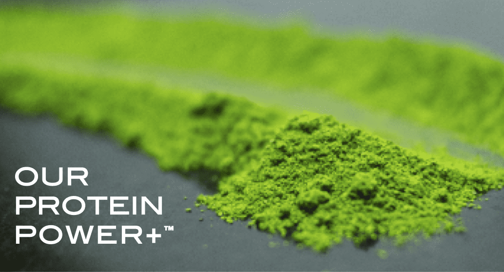 Pontus (HULK.V): New protein-rich superfood water lentils are the ultimate plant-based play