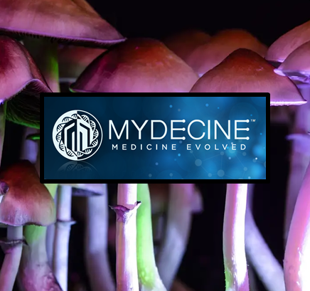 Mydecine Innovations (MYCO.NEO) is operating on the leading edge of mental health & addiction treatment