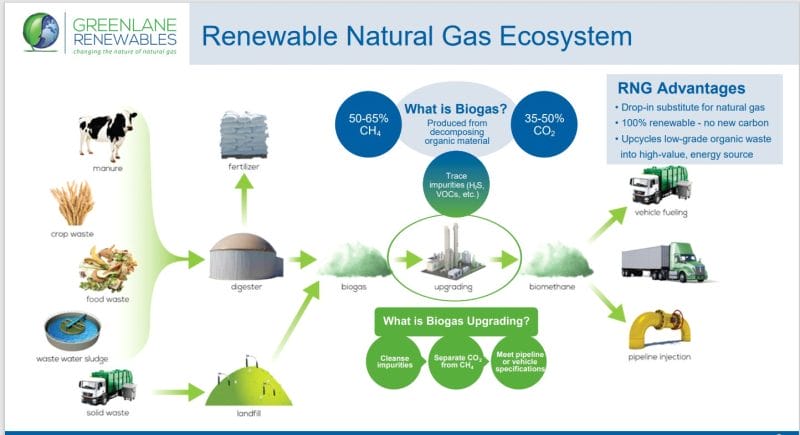 Circular Economy: 5 smart young tech companies trying to save the planet