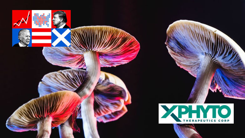 Xphyto (XPHY.C) targets industrial manufacture of psilocybin as U.S. voters weigh in on mushrooms