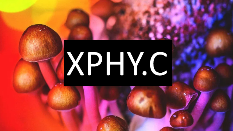 Xphyto’s (XPHY.C) lays out its ambitious Parkinson’s/Epilepsy/Depression/Multiple Sclerosis drug formulation strategy which includes heavy investment in psychedelic medicine