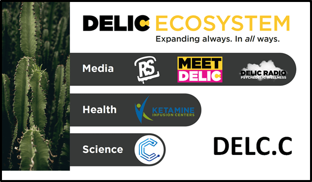 Delic Holdings (DELC.C) gives Q1, 2021 update on its psychedelic business divisions