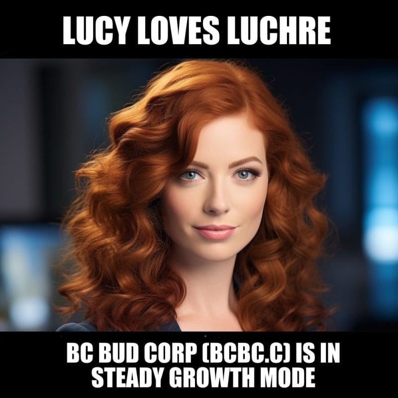 Lucy Loves Luchre: BC Bud Corp (BCBC.C) is in a solid growth phase