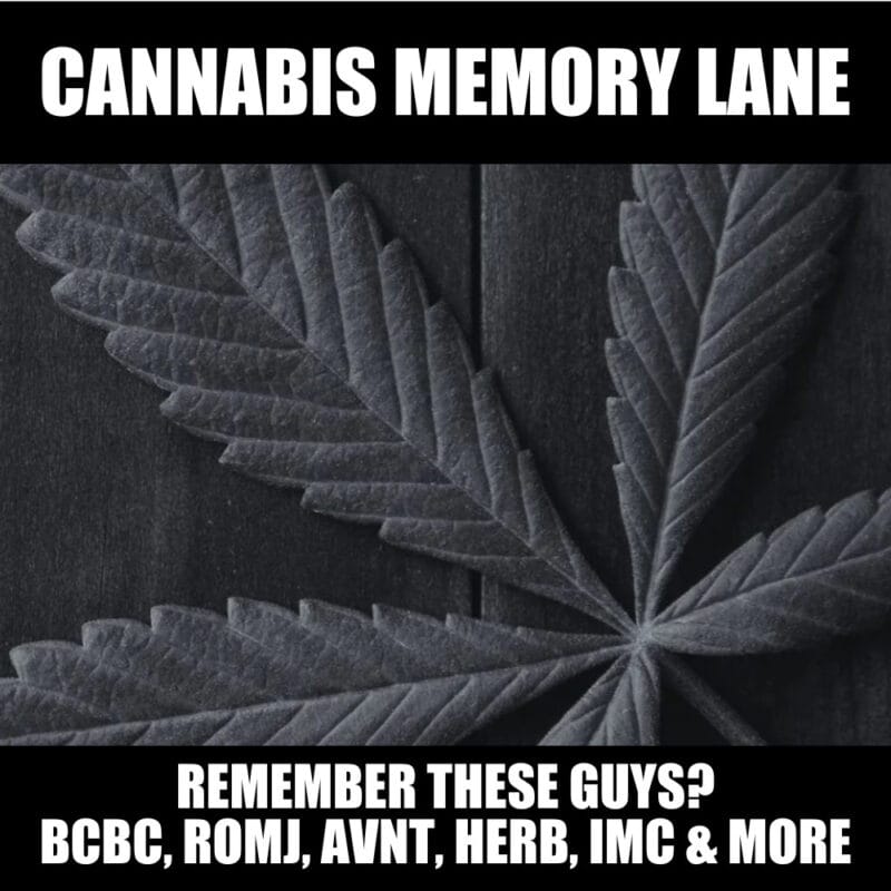 Cannabis memory lane: Who’s sticking it out, who’s dead and dying