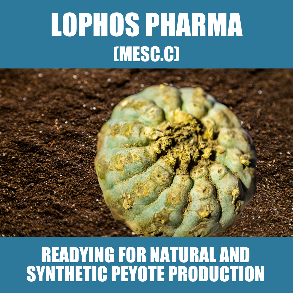 Lophos Pharma (MESC.C) now readies for natural and synthetic peyote production