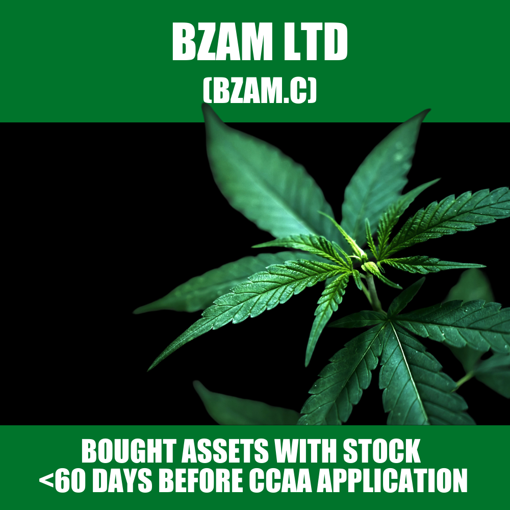 Weed roll-up BZAM (BZAM.C) used stock to buy assets