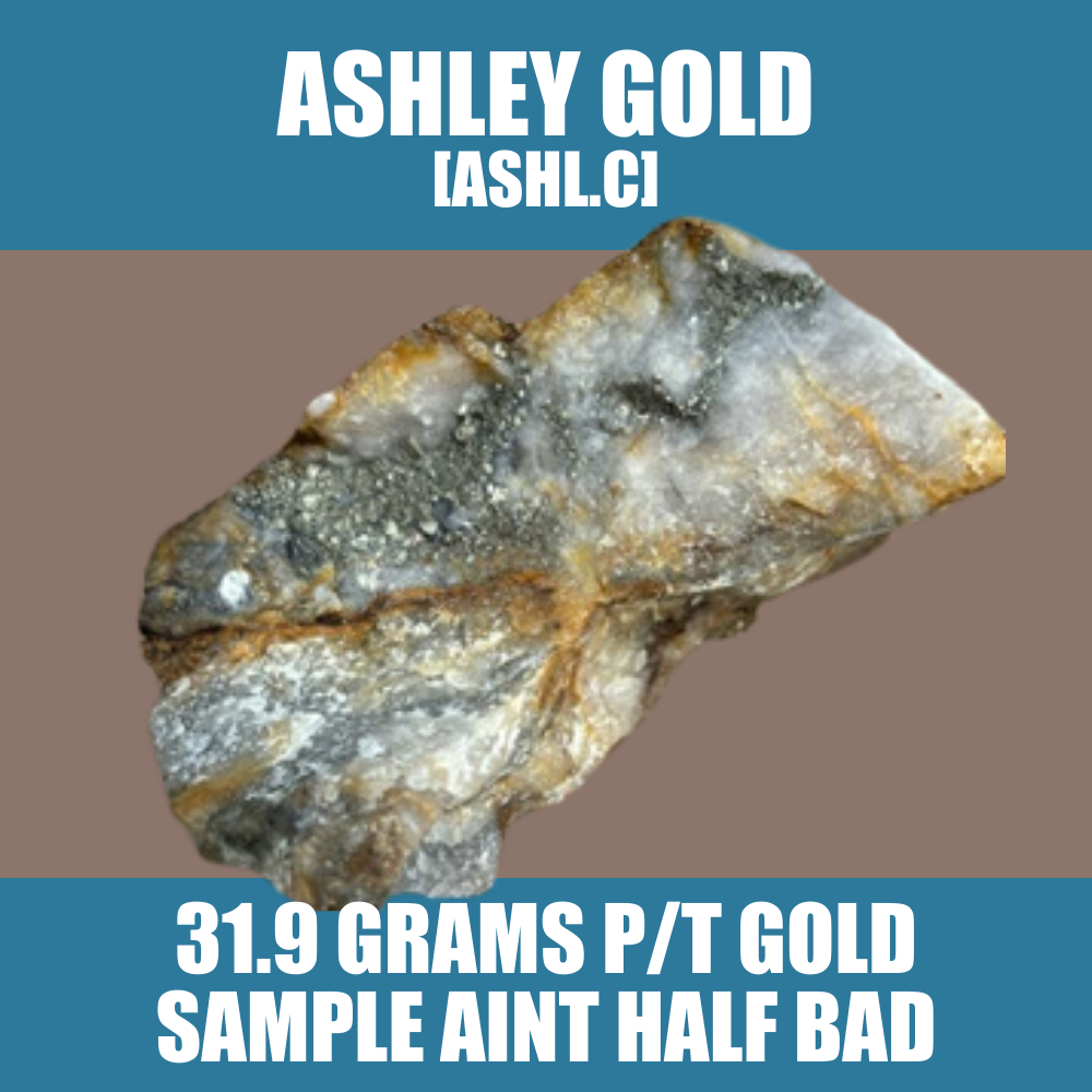 Ashley Gold (ASHL.C) doing a lot with a little – 31.9 gram p/t gold sample